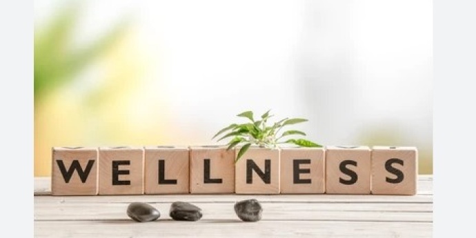 Click here to view Wellness programs. 