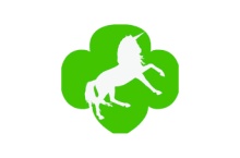 Girl Scout Troop 71912 Logo