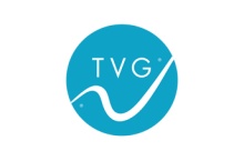 Vandiver Group Logo