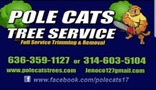 PoleCats Tree Service Logo