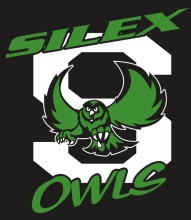 Silex Owls Logo