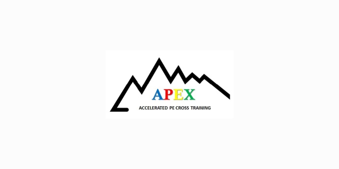 APEX Logo