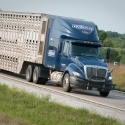 Freight Tractor Trailer