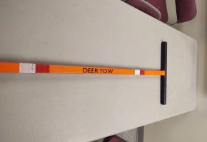 Deer Tow photo