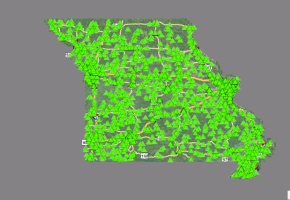 Illicit Discharge TMS Map