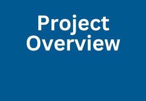 Project overview card element