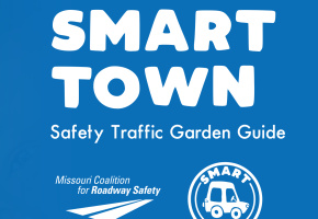 Smart Riders Smart Town Logo