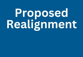 Card element for proposed realignment