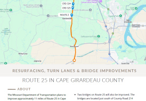 Screenshot of Handout for 25 in Cape for Project Webpage Icon