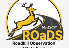 Roadkill Observation And Data System: ROaDS