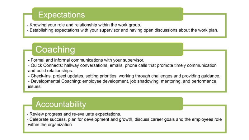 Performance Development Chart