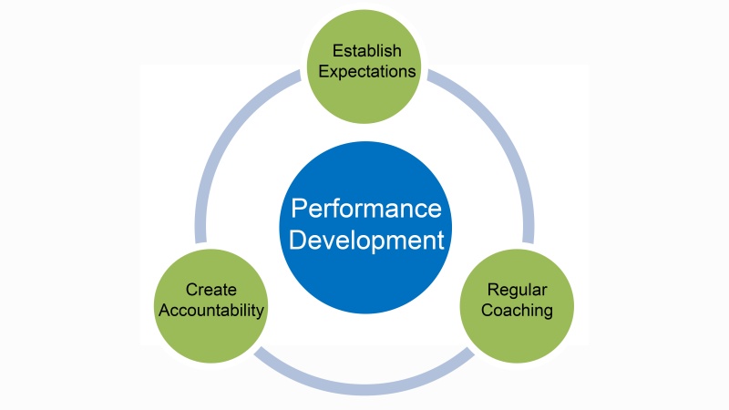 Performance Development Model
