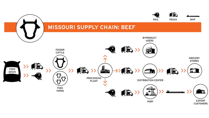 Beef Supply Chain flowchart