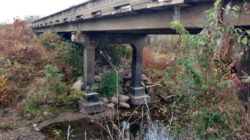 North side of the Third Fork Platte River Bridge US Route 169 DeKalb County