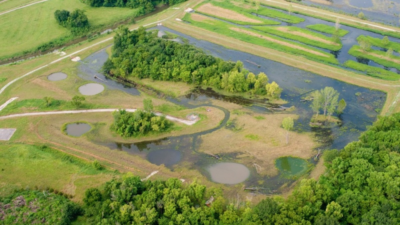 a bird's eye view of a Missouri wetland