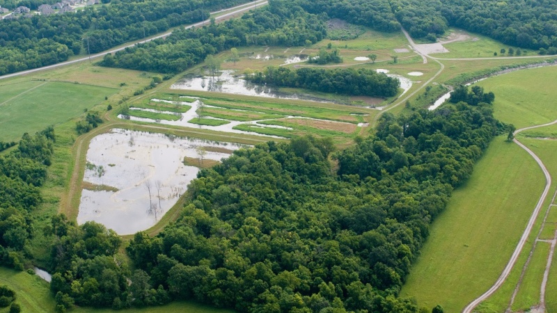 a Missouri wetland site